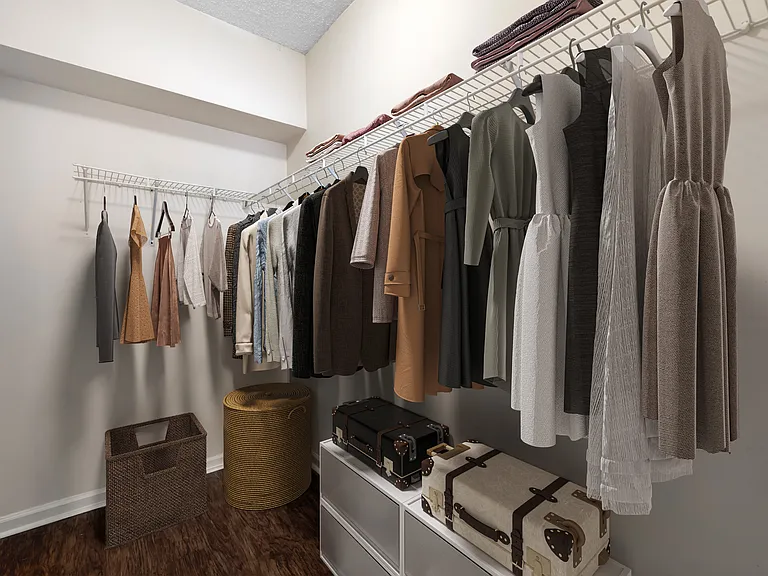 Spacious Walk-In Closet