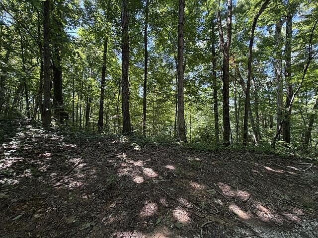 1st image of Jimmy Reneau Rd