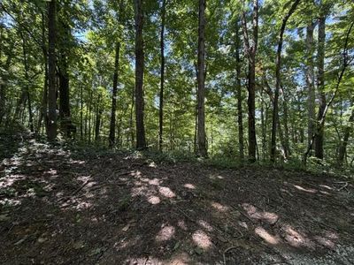 Jimmy Reneau Rd, Celina, TN, 38551