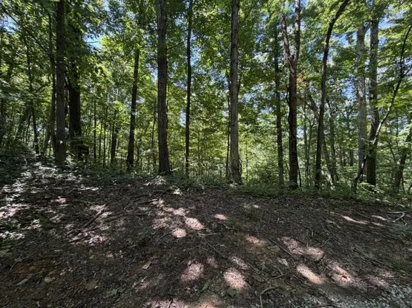Jimmy Reneau Rd, Celina, TN 38551