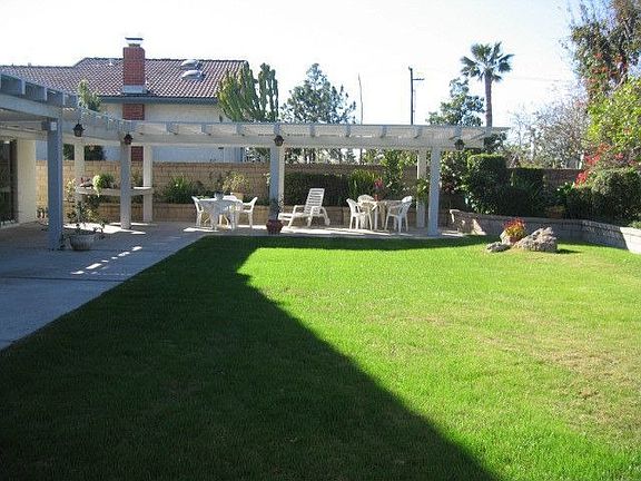 Large rear yard for entertaining