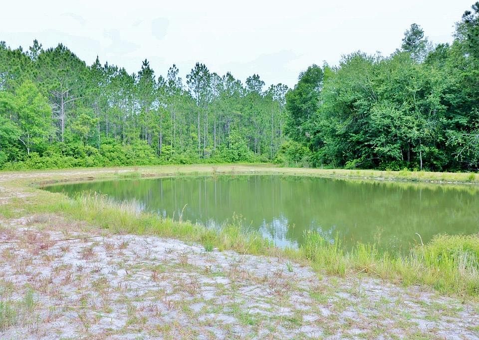 2nd image of 7281 Teal Lake Cir