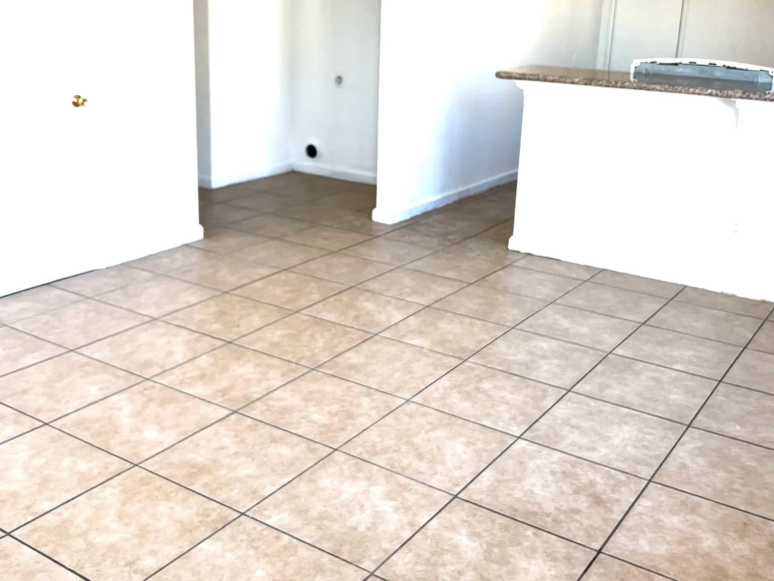2 bed, 858 sqft, $1,250 — Photo 3