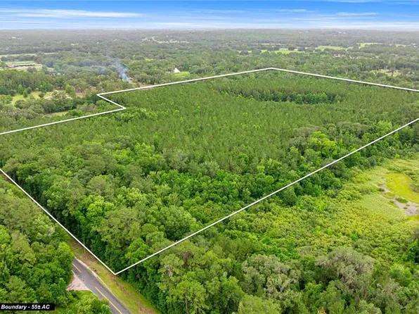 160 Northwest St, Reddick, FL 32686