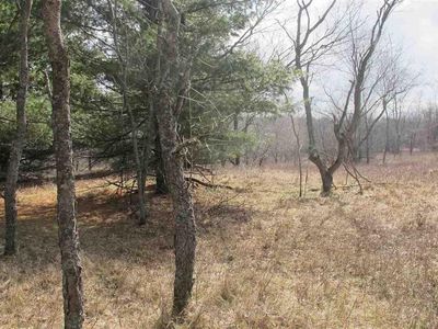 11660&11722 Behlke Rd SE, Fife Lake, MI, 49633