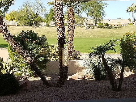 Golf Course/Back Yard