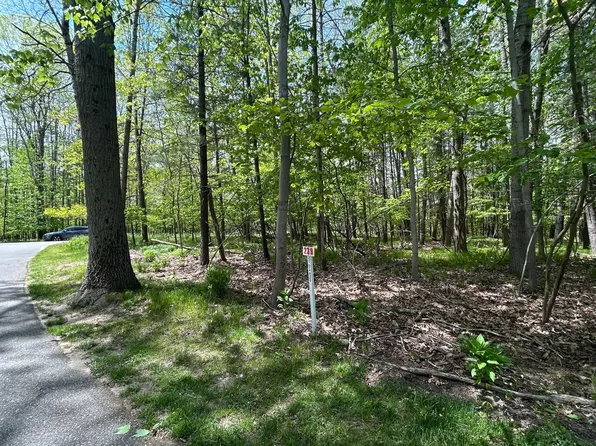6718 Beechnut Rdg #239, Stanwood, MI 49346