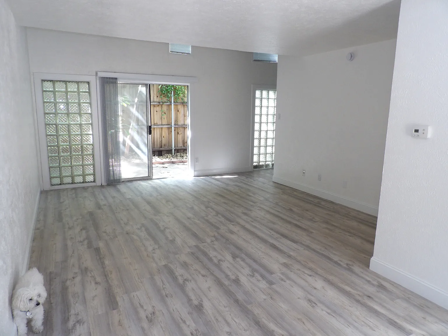 1 bed, 800 sqft, $1,800 — Photo 3