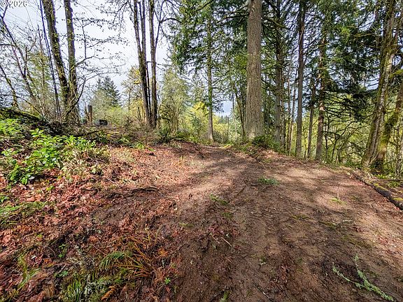 2nd image of 0 NE Finalburg Rd