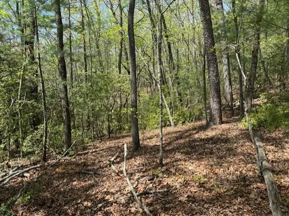 LOT 9 Marjorie Ave, Ellijay, GA 30536