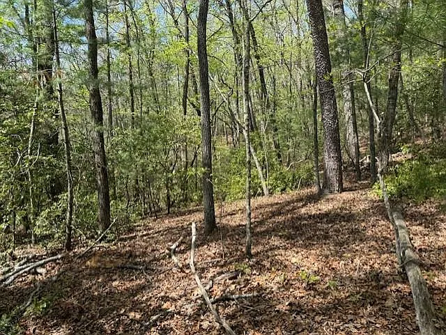 LOT 9 Marjorie Ave photo 1