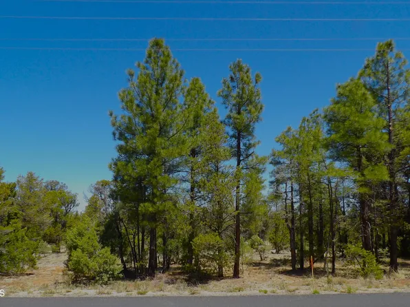 6541 Mogollon Trail #40, Happy Jack, AZ 86024