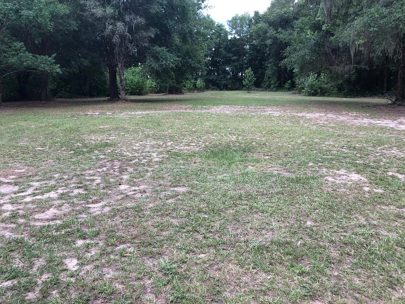 3 bed, 920 sqft, $1,150 — Photo 4