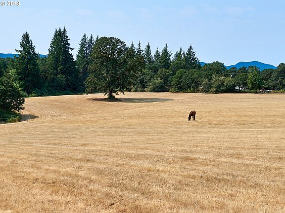 Main fenced pasture 20a