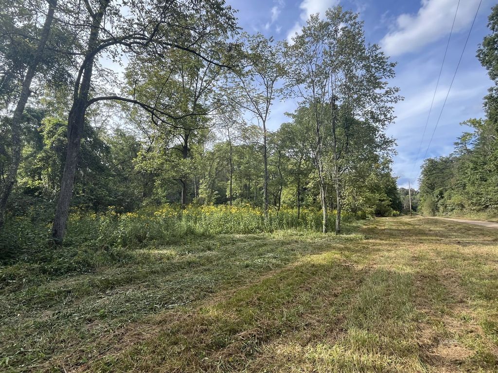 Real estate listing image