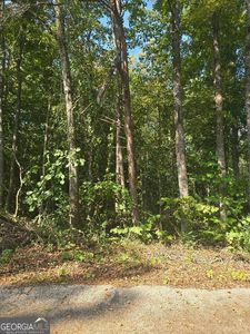 130 Lakeview Way, Martin, GA, 30557