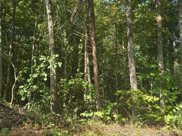 130 Lakeview Way, Martin, GA 30557