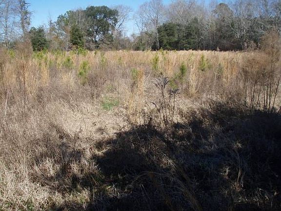 Another View of Field