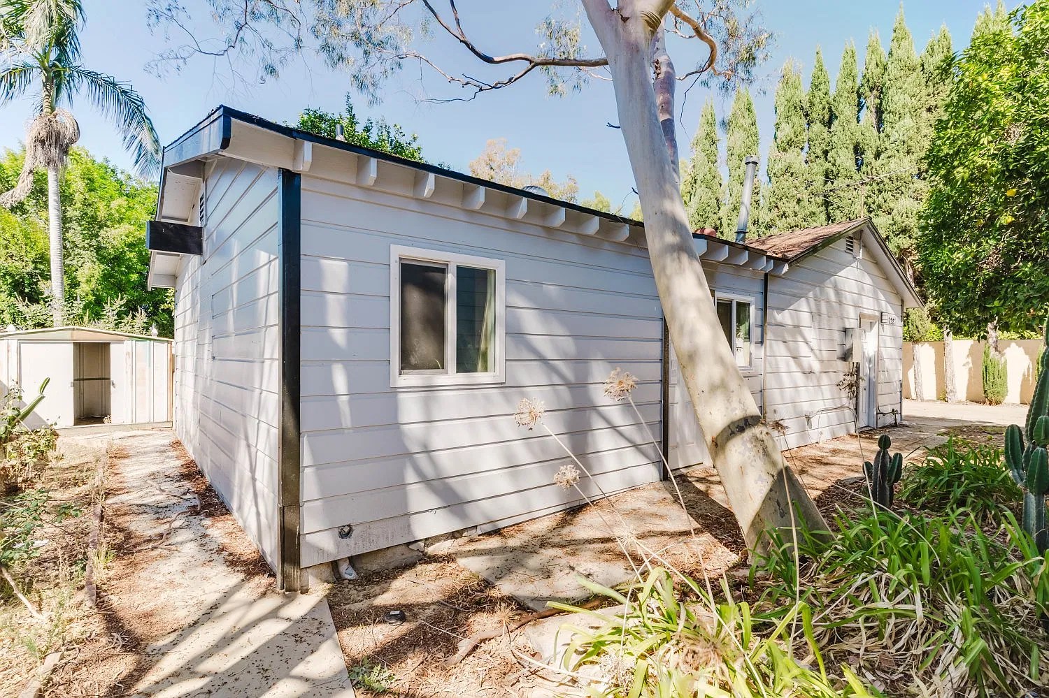 3 bed, 1200 sqft, $3,500 — Photo 4