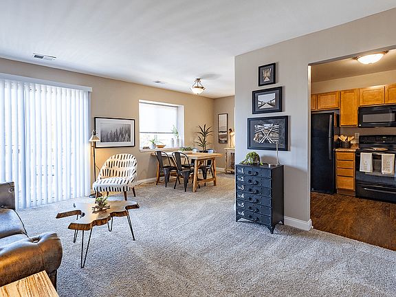 Cozy Plush Carpeting