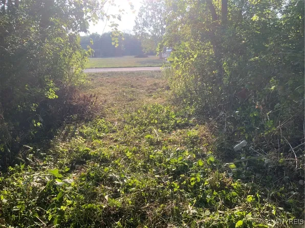 1891 County Line Rd, Lyndonville, NY 14098