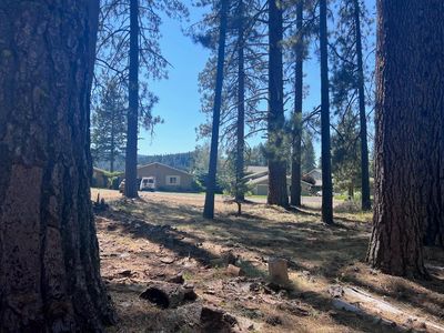 425 Lundy Ln, Blairsden Graeagle, CA, 96103