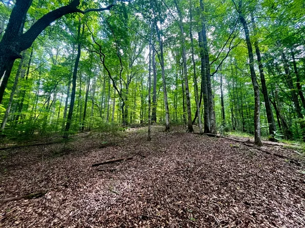 0 Coosa County Road 93, Kellyton, AL 35089