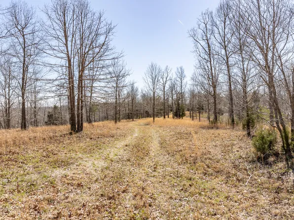 9 Mile Ridge Rd, Duck River, TN 38454
