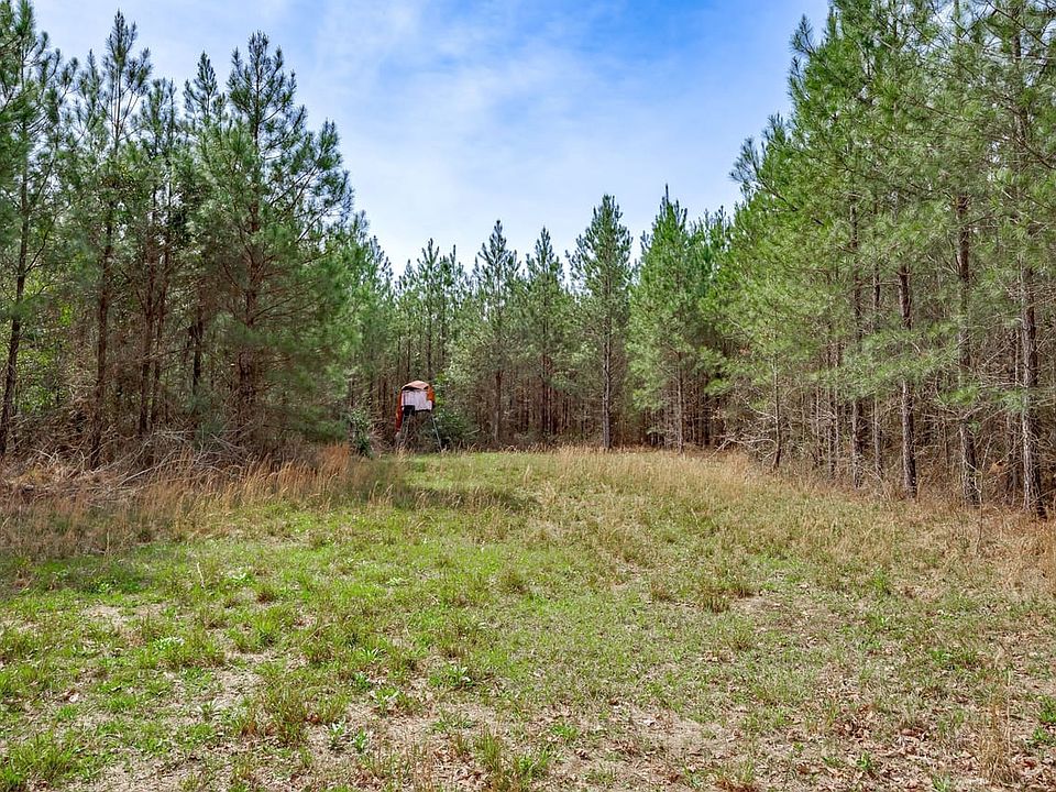 Waynesboro Ga Tract 3 015