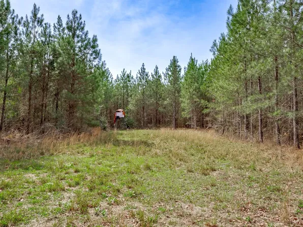 0 Watkins Pond Rd Tract 2, Waynesboro, GA 30830