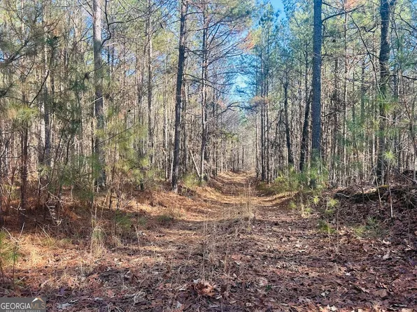 0 Bluff Springs Rd, Ashland, AL 36251