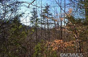 5th image of 0 Palmer Camp Branch Dr