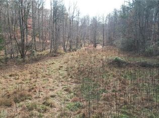 0 Blackburn Rd #3A, Dawsonville, GA 30534