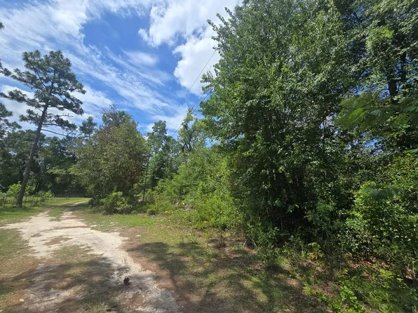 TBD NE 822nd St, Old Town, FL 32686