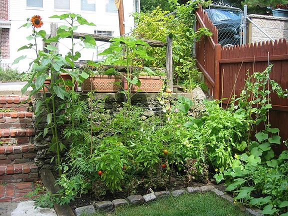 garden