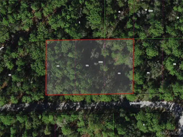 7401 W Citruswood Dr, Dunnellon, FL 34433
