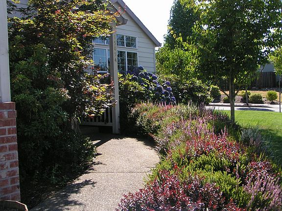 Front Walkway