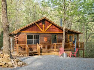 1311 Little Bushy Head Rd, Blue Ridge, GA 30513