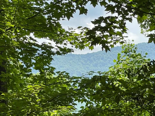 L-20 Bald Eagle Dr, Young Harris, GA 30582