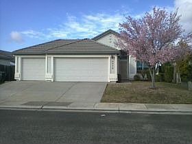 1st image of 8875 Silverberry Ave