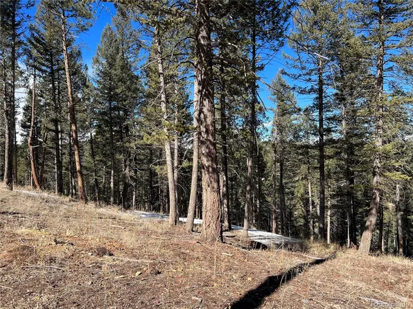 7871 Gold Rush LOT 3, Morrison, CO 80465