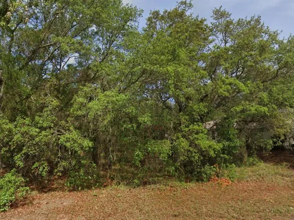 4 HONEYSUCKLE COURT N LOT 4, HOMOSASSA, FL 34446