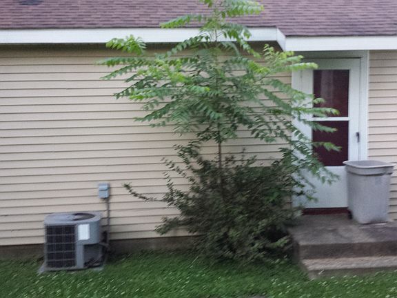 3rd image of 24 N Kansas Ave