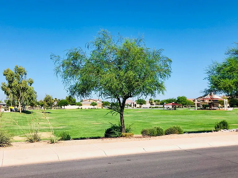 29962 N Palo Verde Dr — Photo 13