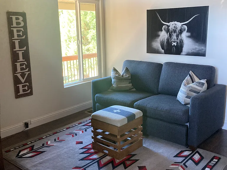 Third bedroom turned into a den with pull out sofa