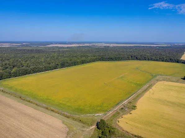 0 Gray Ln, Des Arc, AR 72040