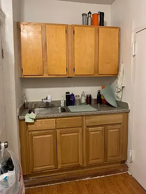 Rented by Alpha Properties NYC I LLC | media 19