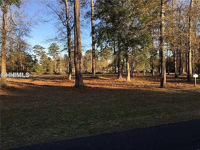 2nd image of 9 Indigo Plantation Rd