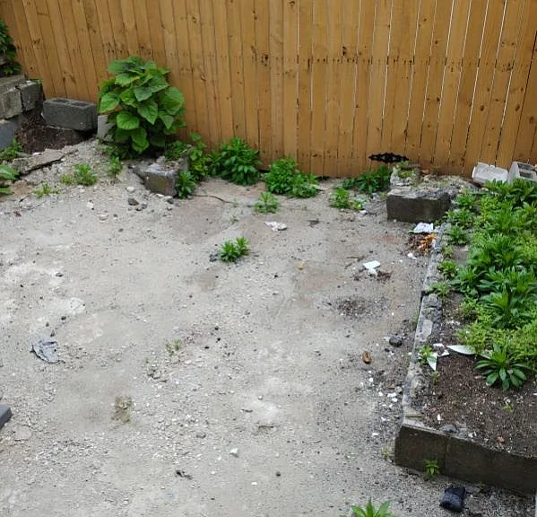 2252 Greenwich St — Photo 4