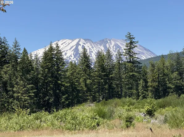 0 Lahar Ln #9, Cougar, WA 98616